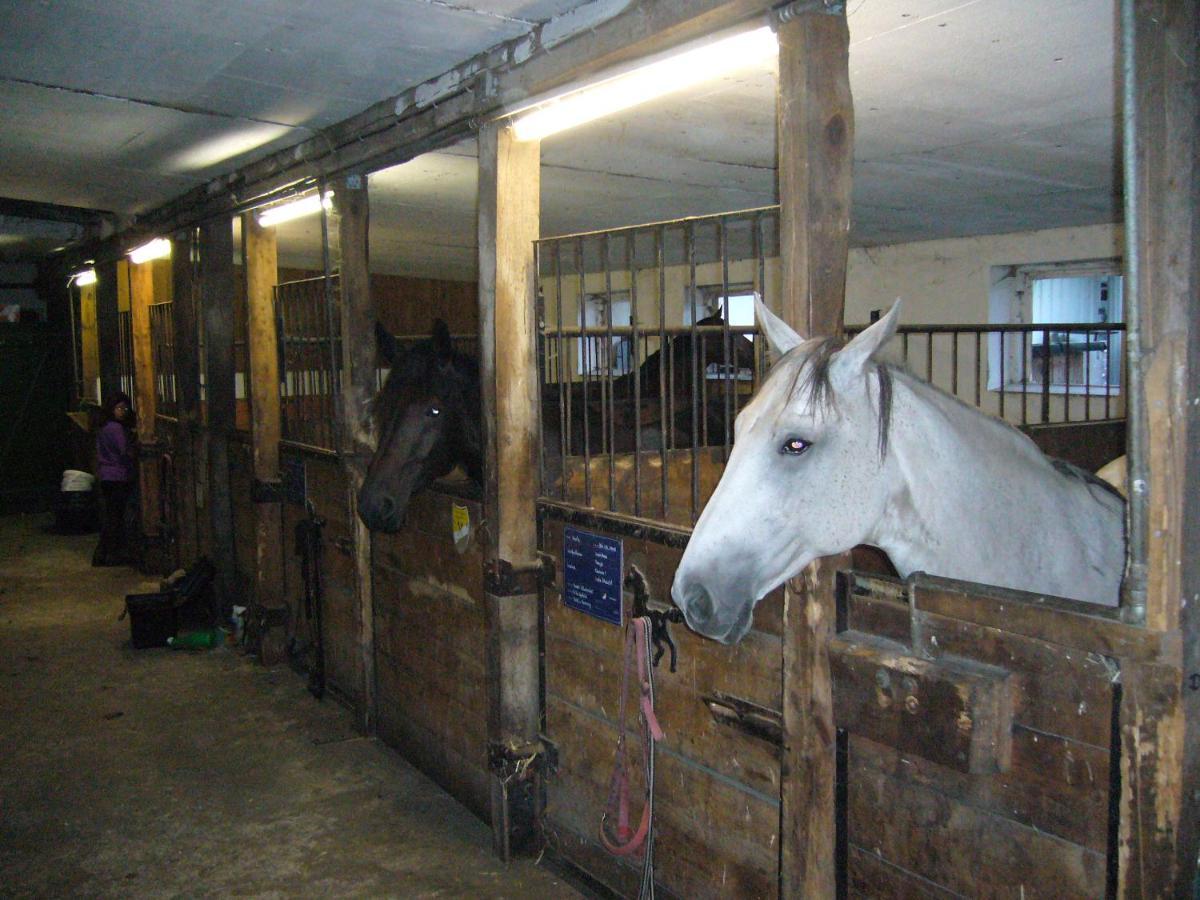 Ferienhof Drewes Ranch Wietzendorf Exterior foto